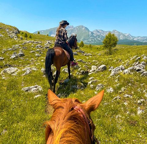 Horse Riding — Lake Plateau