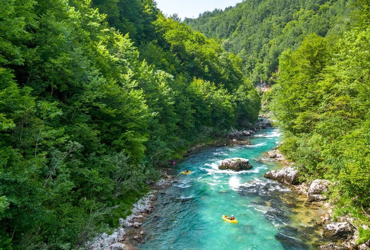 Tara Packrafting — Half Day
